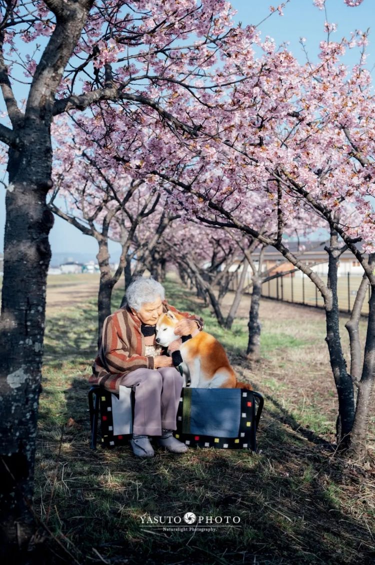 第279期：日本将征单身税？任天堂起诉特朗普？富士山再发登山事故；吴彦祖接替木村拓哉？| 百通板