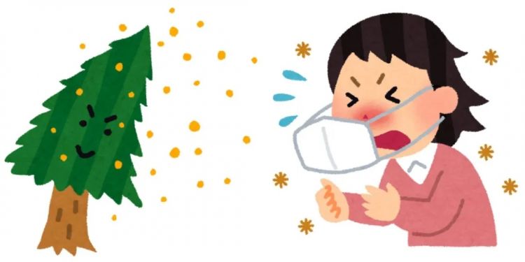 日本的花粉来了！今年堪比“致死量”级别……