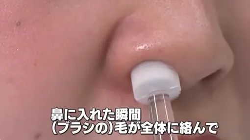 日本的花粉来了！今年堪比“致死量”级别……