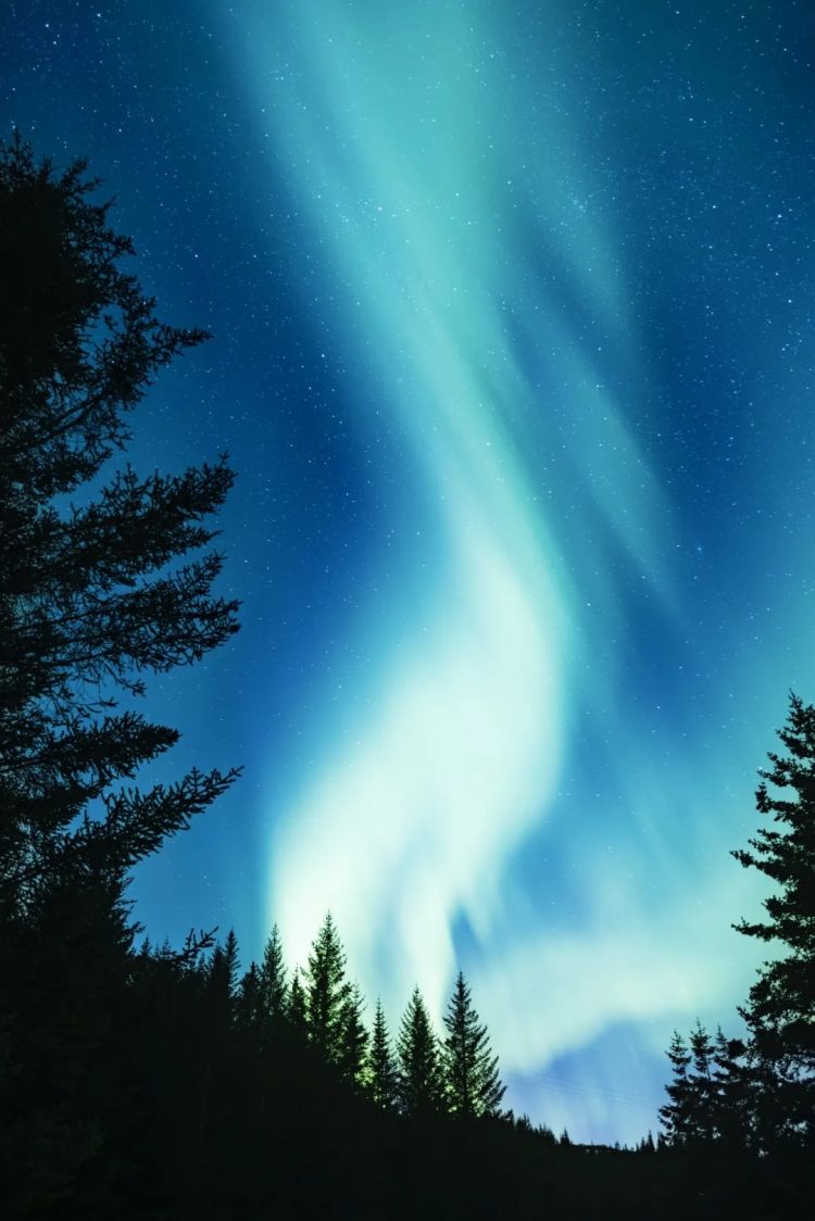 第277期：特朗普新关税再临？《EVA》官宣新作；东京晴空塔电梯突发故障？樱桃小丸子联动蜡笔小新；冬奥收官 | 百通板