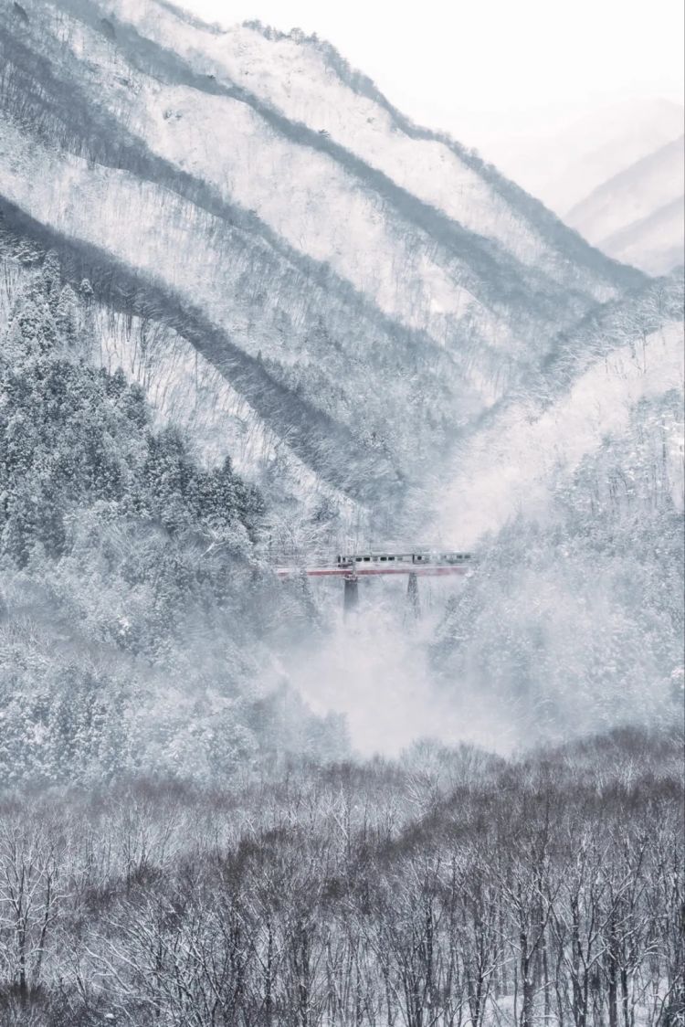 第280期：高市早苗否决女性天皇论？本田汽车估算巨额赤字？经典日剧《深夜食堂》将拍续集；第49届日本电影学院奖 | 百通板