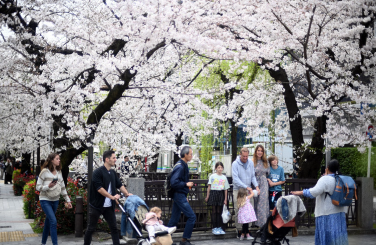 日本将实施电子旅行认证制度 加强外国人入境管理
