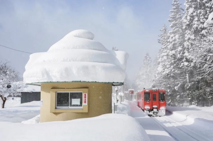 第281期：特朗普再提珍珠港？日本自卫队队员持刀闯入中国大使馆？拉布布X索尼将拍电影；索尼本田中止EV合作 | 百通板