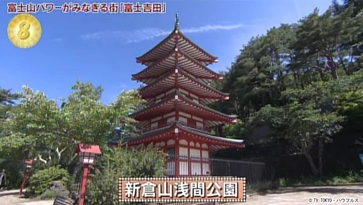 日本的樱花开了，为什么富士山下的樱花祭被叫停