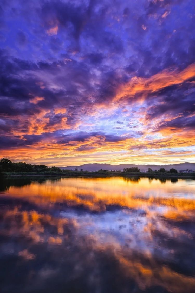 第280期：高市早苗否决女性天皇论？本田汽车估算巨额赤字？经典日剧《深夜食堂》将拍续集；第49届日本电影学院奖 | 百通板