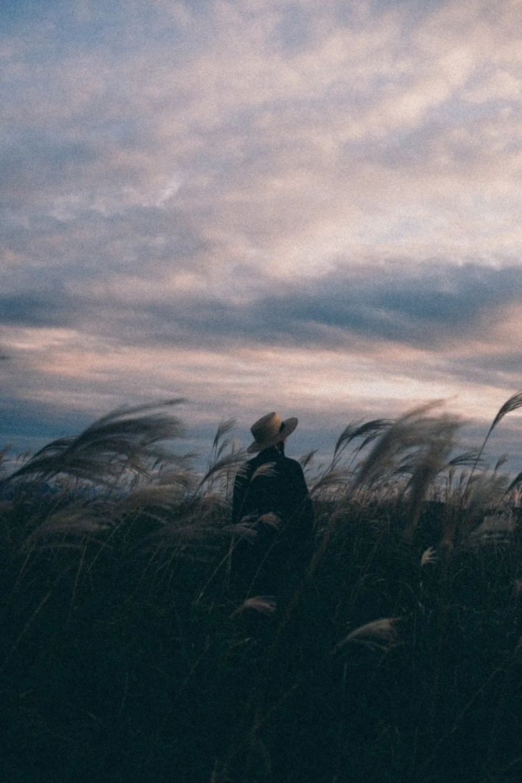 第281期：特朗普再提珍珠港？日本自卫队队员持刀闯入中国大使馆？拉布布X索尼将拍电影；索尼本田中止EV合作 | 百通板