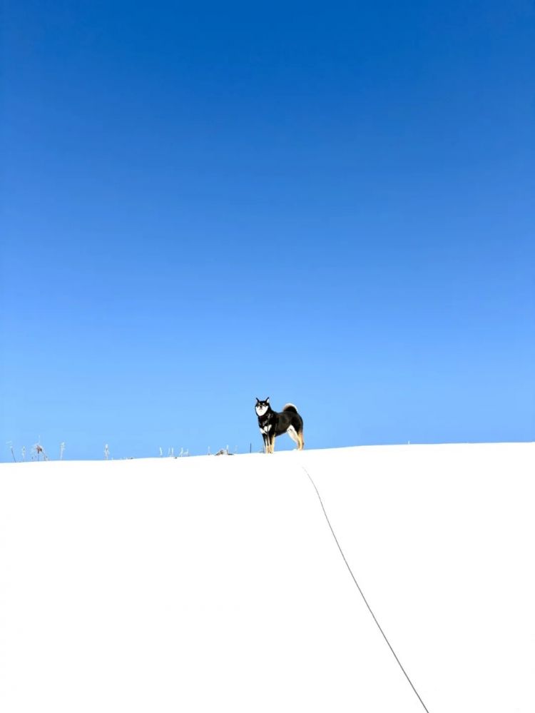 第279期：日本将征单身税？任天堂起诉特朗普？富士山再发登山事故；吴彦祖接替木村拓哉？| 百通板