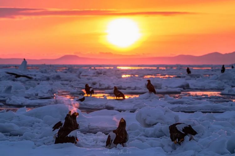 第277期：特朗普新关税再临？《EVA》官宣新作；东京晴空塔电梯突发故障？樱桃小丸子联动蜡笔小新；冬奥收官 | 百通板