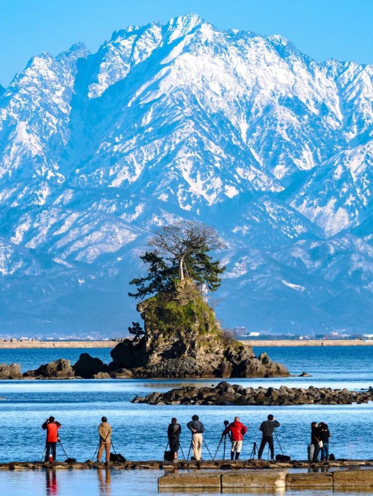 第277期：特朗普新关税再临？《EVA》官宣新作；东京晴空塔电梯突发故障？樱桃小丸子联动蜡笔小新；冬奥收官 | 百通板