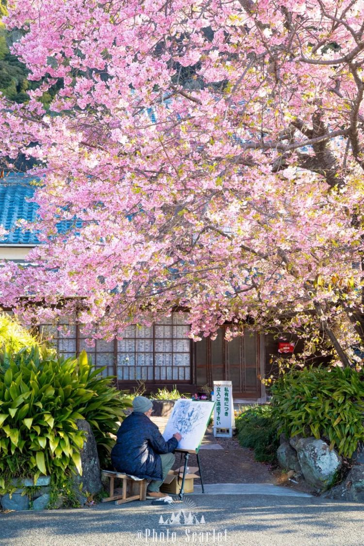 第277期：特朗普新关税再临？《EVA》官宣新作；东京晴空塔电梯突发故障？樱桃小丸子联动蜡笔小新；冬奥收官 | 百通板