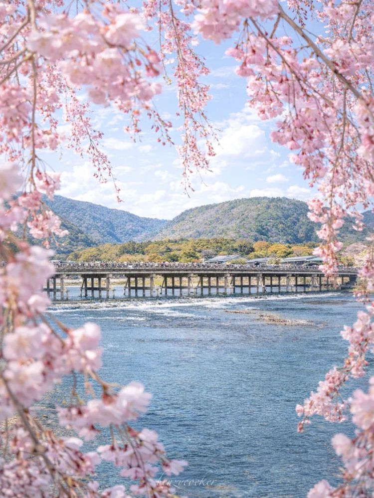 第281期：特朗普再提珍珠港？日本自卫队队员持刀闯入中国大使馆？拉布布X索尼将拍电影；索尼本田中止EV合作 | 百通板