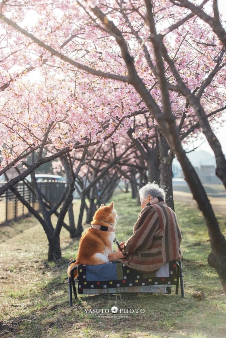 第280期：高市早苗否决女性天皇论？本田汽车估算巨额赤字？经典日剧《深夜食堂》将拍续集；第49届日本电影学院奖 | 百通板