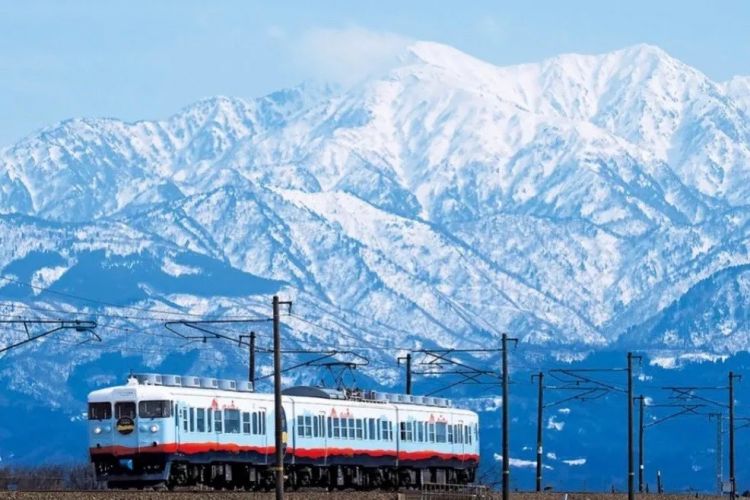 第278期：中国游客被撞身亡案开庭；小学馆包庇性犯罪编剧复出？宇多田光X樱桃小丸子联动；宝可梦30周年 | 百通板