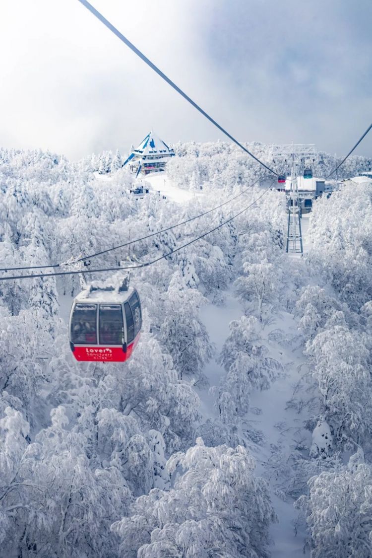 第277期：特朗普新关税再临？《EVA》官宣新作；东京晴空塔电梯突发故障？樱桃小丸子联动蜡笔小新；冬奥收官 | 百通板