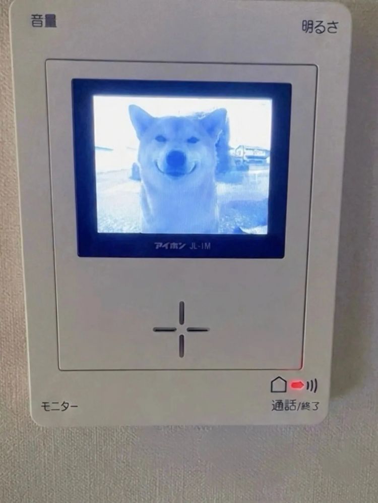 第278期：中国游客被撞身亡案开庭；小学馆包庇性犯罪编剧复出？宇多田光X樱桃小丸子联动；宝可梦30周年 | 百通板