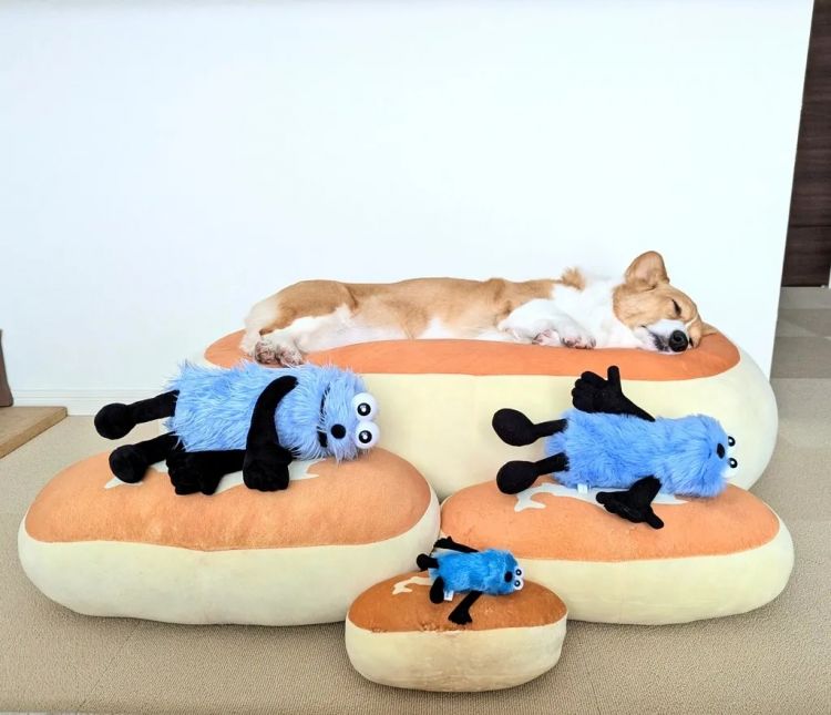 第277期：特朗普新关税再临？《EVA》官宣新作；东京晴空塔电梯突发故障？樱桃小丸子联动蜡笔小新；冬奥收官 | 百通板