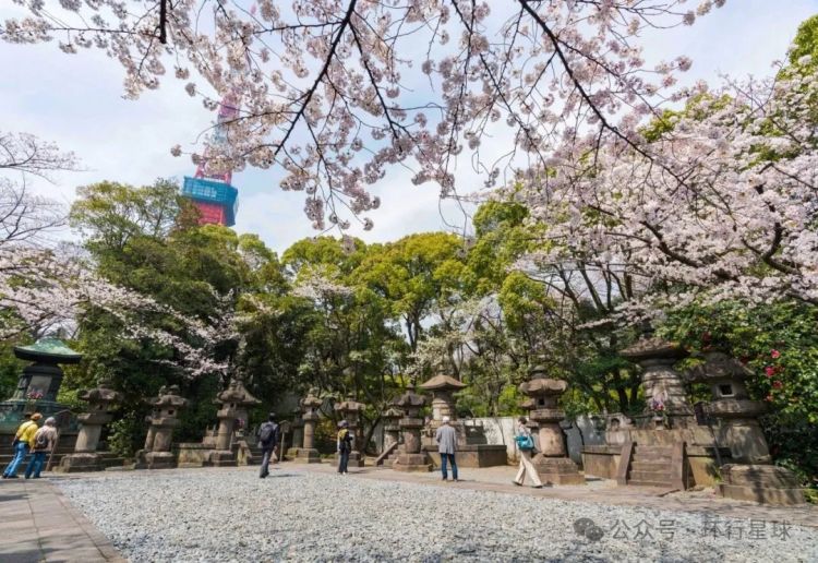 中国老板，一年为上万日本人送葬