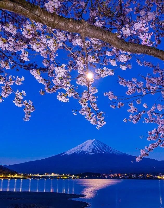 第283期：高市早苗公布个人资产？日本中学制服价格飙升 或统一制服？绫濑遥写3万封情书？| 百通板