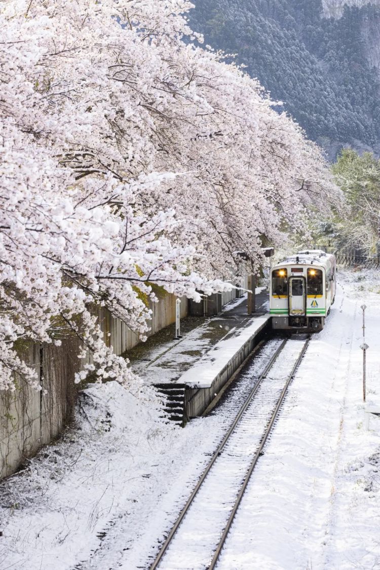 第282期:东京万人集会抗议高市早苗修宪?自卫队军官闯入中国大使馆;日本或于4月实现学校免费供餐?内田有纪X柏原崇秘密完婚?| 百通板 第282期:东京万人集会抗议高市早苗修宪?自卫队军官闯入中国大使馆;日本或于4月实现学校免费供餐?内田有纪X柏原崇秘密完婚?| 百通板