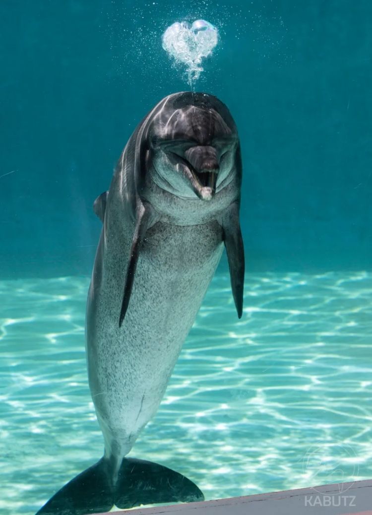 第282期:东京万人集会抗议高市早苗修宪?自卫队军官闯入中国大使馆;日本或于4月实现学校免费供餐?内田有纪X柏原崇秘密完婚?| 百通板 第282期:东京万人集会抗议高市早苗修宪?自卫队军官闯入中国大使馆;日本或于4月实现学校免费供餐?内田有纪X柏原崇秘密完婚?| 百通板