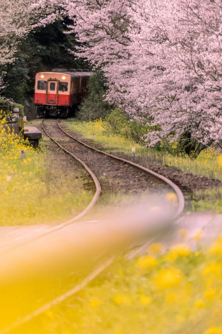 第282期:东京万人集会抗议高市早苗修宪?自卫队军官闯入中国大使馆;日本或于4月实现学校免费供餐?内田有纪X柏原崇秘密完婚?| 百通板 第282期:东京万人集会抗议高市早苗修宪?自卫队军官闯入中国大使馆;日本或于4月实现学校免费供餐?内田有纪X柏原崇秘密完婚?| 百通板