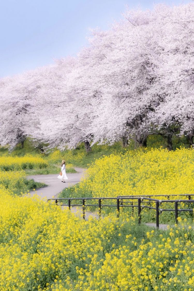 第283期：高市早苗公布个人资产？日本中学制服价格飙升 或统一制服？绫濑遥写3万封情书？| 百通板