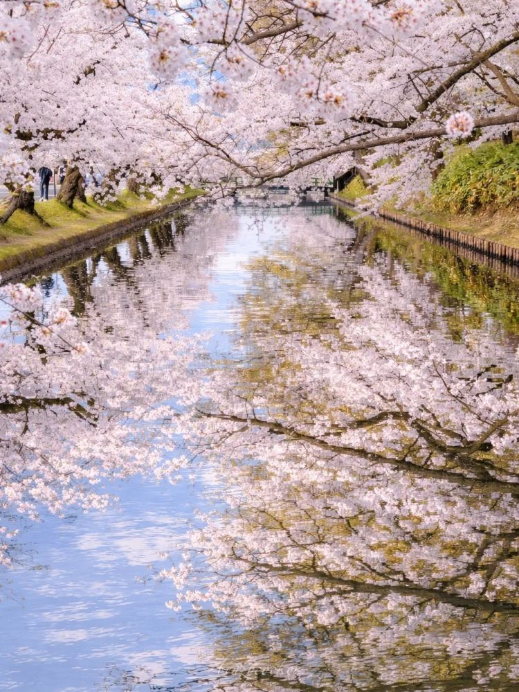 第282期:东京万人集会抗议高市早苗修宪?自卫队军官闯入中国大使馆;日本或于4月实现学校免费供餐?内田有纪X柏原崇秘密完婚?| 百通板 第282期:东京万人集会抗议高市早苗修宪?自卫队军官闯入中国大使馆;日本或于4月实现学校免费供餐?内田有纪X柏原崇秘密完婚?| 百通板