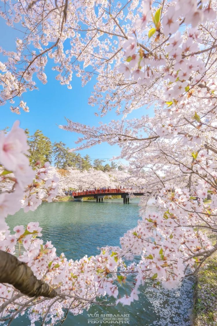 第285期：高市早苗入选时代百大人物 但支持率再创新低？日本大幅放宽武器出口限制？网飞将拍高达真人版 | 百通板