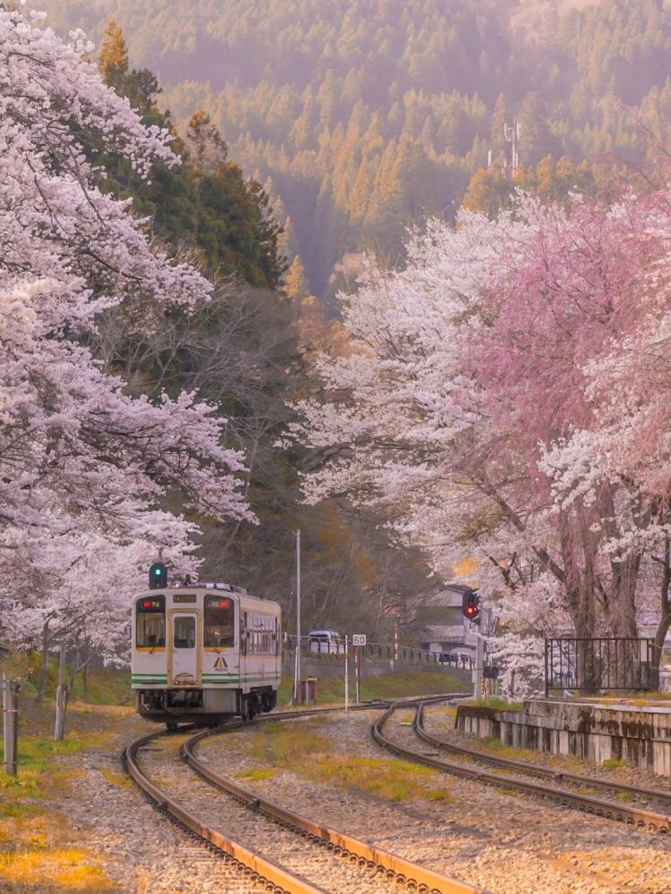 第282期:东京万人集会抗议高市早苗修宪?自卫队军官闯入中国大使馆;日本或于4月实现学校免费供餐?内田有纪X柏原崇秘密完婚?| 百通板 第282期:东京万人集会抗议高市早苗修宪?自卫队军官闯入中国大使馆;日本或于4月实现学校免费供餐?内田有纪X柏原崇秘密完婚?| 百通板