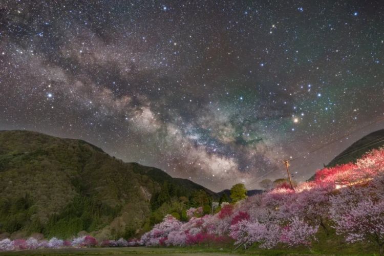 第285期：高市早苗入选时代百大人物 但支持率再创新低？日本大幅放宽武器出口限制？网飞将拍高达真人版 | 百通板