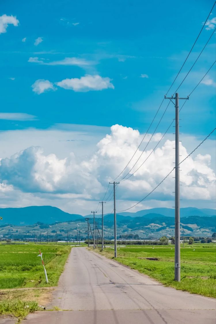 第282期:东京万人集会抗议高市早苗修宪?自卫队军官闯入中国大使馆;日本或于4月实现学校免费供餐?内田有纪X柏原崇秘密完婚?| 百通板 第282期:东京万人集会抗议高市早苗修宪?自卫队军官闯入中国大使馆;日本或于4月实现学校免费供餐?内田有纪X柏原崇秘密完婚?| 百通板