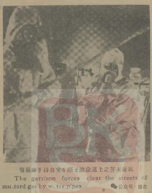 五分钟捋清辣根，芥末和山葵——以及延展阅读