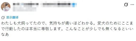 中日女性拼命为去世狗狗追凶,却被网暴吃“狗血馒头”?“狗是畜生而已”… 中日女性拼命为去世狗狗追凶,却被网暴吃“狗血馒头”?“狗是畜生而已”…