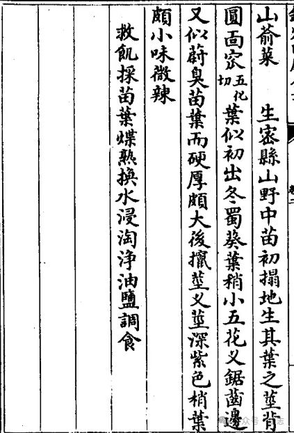 五分钟捋清辣根，芥末和山葵——以及延展阅读