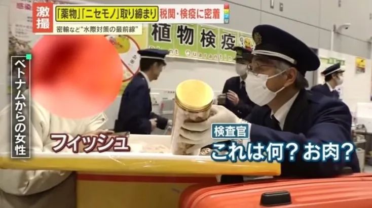 日本机场疯狂盯上越南游客？！海关扒开行李箱，大姐当场沉默…网友看完直呼：这波操作我给负分！