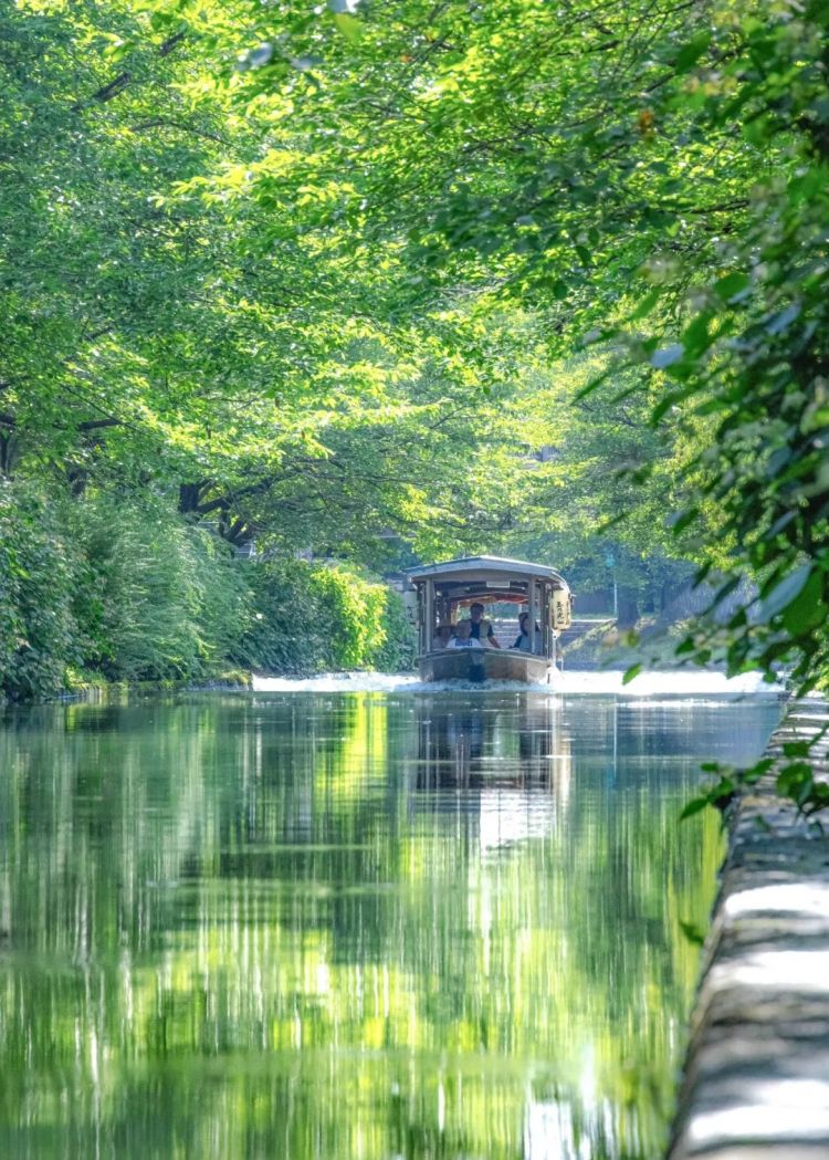 第287期:北海道动物园焚烧炉内现人体组织?板野友美退社;田中圭出轨淡圈成赌圣?大冢爱打造高中生组合 | 百通板 第287期:北海道动物园焚烧炉内现人体组织?板野友美退社;田中圭出轨淡圈成赌圣?大冢爱打造高中生组合 | 百通板