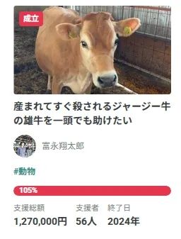 东京牛郎回家再次摇身变“牛郎”!但这次大家心甘情愿为他掏钱,并直呼:这“牛郎”太帅了! 东京牛郎回家再次摇身变“牛郎”!但这次大家心甘情愿为他掏钱,并直呼:这“牛郎”太帅了!