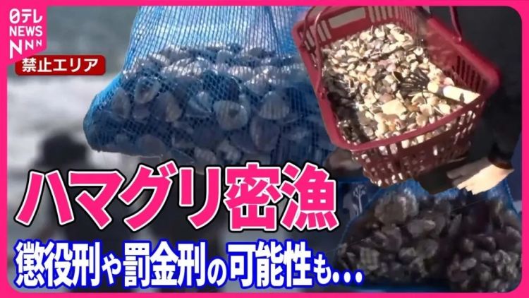 日本网友破防了!中国女子在海滩徒手偷挖3公斤蛤蜊,当场被抓认罪 日本网友破防了!中国女子在海滩徒手偷挖3公斤蛤蜊,当场被抓认罪