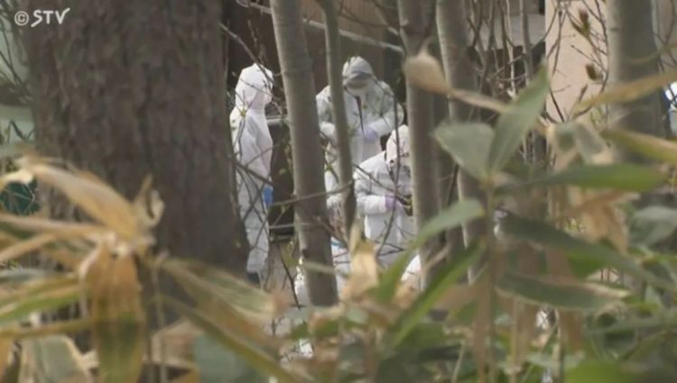 第287期:北海道动物园焚烧炉内现人体组织?板野友美退社;田中圭出轨淡圈成赌圣?大冢爱打造高中生组合 | 百通板 第287期:北海道动物园焚烧炉内现人体组织?板野友美退社;田中圭出轨淡圈成赌圣?大冢爱打造高中生组合 | 百通板