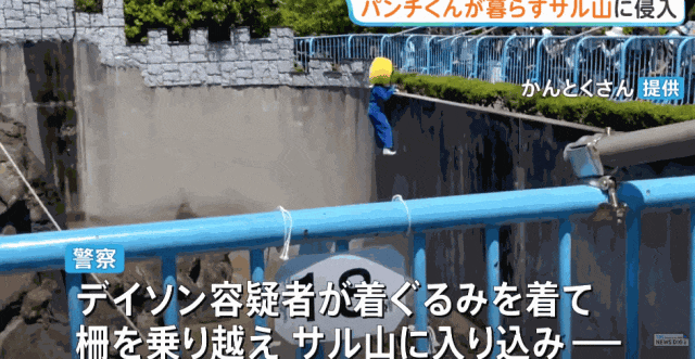两名美国人头戴表情包闯日本动物园猴山,疑似宣传虚拟货币?日网:猴子都比他们有人性! 两名美国人头戴表情包闯日本动物园猴山,疑似宣传虚拟货币?日网:猴子都比他们有人性!