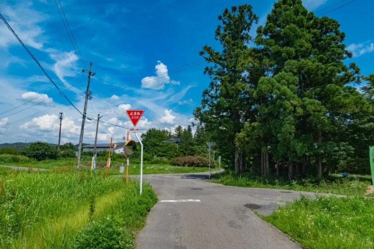 第287期:北海道动物园焚烧炉内现人体组织?板野友美退社;田中圭出轨淡圈成赌圣?大冢爱打造高中生组合 | 百通板 第287期:北海道动物园焚烧炉内现人体组织?板野友美退社;田中圭出轨淡圈成赌圣?大冢爱打造高中生组合 | 百通板