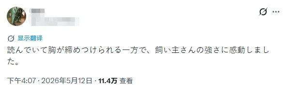 中日女性拼命为去世狗狗追凶,却被网暴吃“狗血馒头”?“狗是畜生而已”… 中日女性拼命为去世狗狗追凶,却被网暴吃“狗血馒头”?“狗是畜生而已”…
