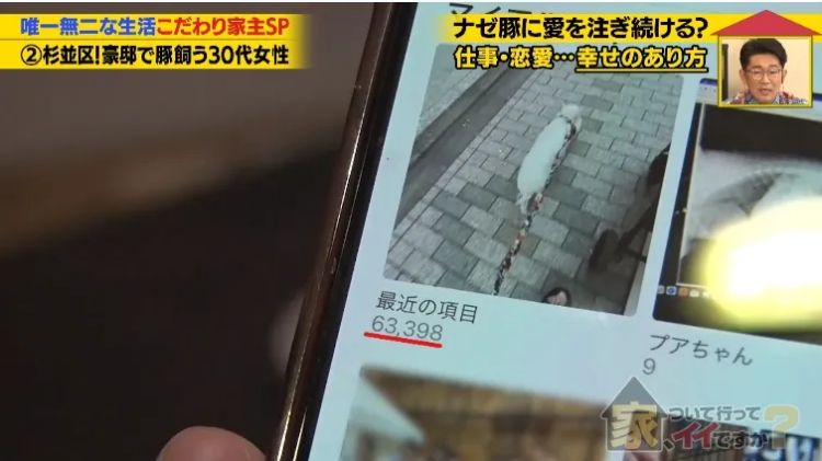 日本40岁女性住豪宅养猪猪,还因猪猪和明星结缘?深感幸福不想结婚,称“对男人没兴趣”… 日本40岁女性住豪宅养猪猪,还因猪猪和明星结缘?深感幸福不想结婚,称“对男人没兴趣”…