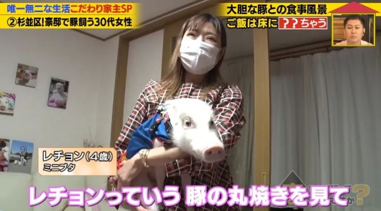 日本40岁女性住豪宅养猪猪,还因猪猪和明星结缘?深感幸福不想结婚,称“对男人没兴趣”… 日本40岁女性住豪宅养猪猪,还因猪猪和明星结缘?深感幸福不想结婚,称“对男人没兴趣”…