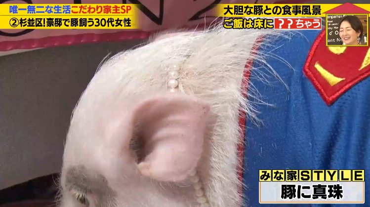 日本40岁女性住豪宅养猪猪,还因猪猪和明星结缘?深感幸福不想结婚,称“对男人没兴趣”… 日本40岁女性住豪宅养猪猪,还因猪猪和明星结缘?深感幸福不想结婚,称“对男人没兴趣”…