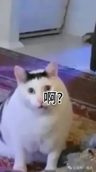 日本的味醂是个什么来头?