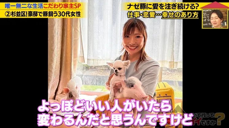 日本40岁女性住豪宅养猪猪,还因猪猪和明星结缘?深感幸福不想结婚,称“对男人没兴趣”… 日本40岁女性住豪宅养猪猪,还因猪猪和明星结缘?深感幸福不想结婚,称“对男人没兴趣”…