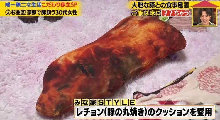 日本40岁女性住豪宅养猪猪,还因猪猪和明星结缘?深感幸福不想结婚,称“对男人没兴趣”… 日本40岁女性住豪宅养猪猪,还因猪猪和明星结缘?深感幸福不想结婚,称“对男人没兴趣”…