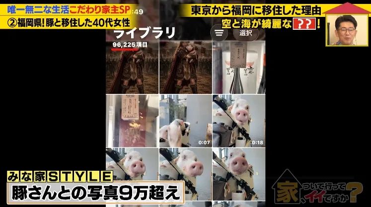 日本40岁女性住豪宅养猪猪,还因猪猪和明星结缘?深感幸福不想结婚,称“对男人没兴趣”… 日本40岁女性住豪宅养猪猪,还因猪猪和明星结缘?深感幸福不想结婚,称“对男人没兴趣”…