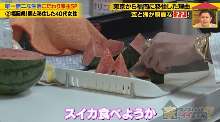 日本40岁女性住豪宅养猪猪,还因猪猪和明星结缘?深感幸福不想结婚,称“对男人没兴趣”… 日本40岁女性住豪宅养猪猪,还因猪猪和明星结缘?深感幸福不想结婚,称“对男人没兴趣”…